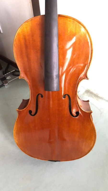 Advanced Cello, Antique Varnish Popular-Aca300